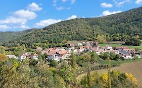 Alaisuberri